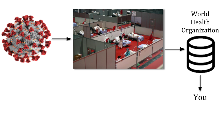 Covis-19 and the WHO